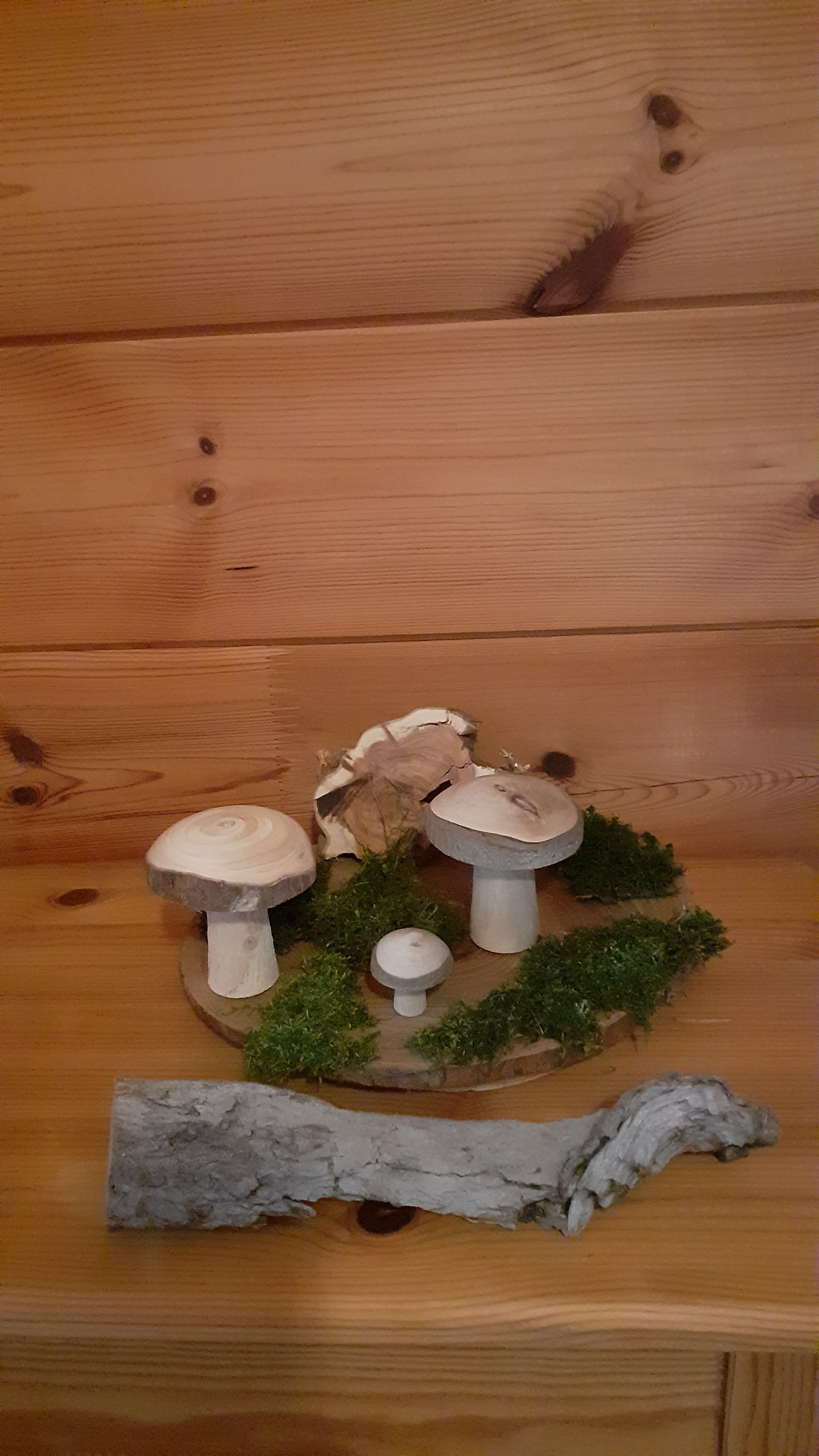 Pilze